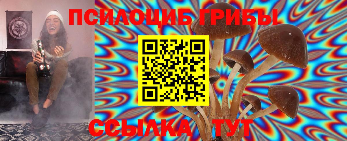 сколько стоит  Псилоцибиновые грибы MAGIC MUSHROOMS  Новый Уренгой  Вход с VPN  Псилоцибиновые грибы Psilocybine cubensis 